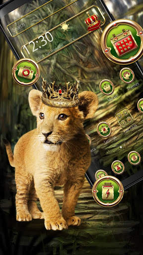 Royal King Baby Lion Theme screenshot 3