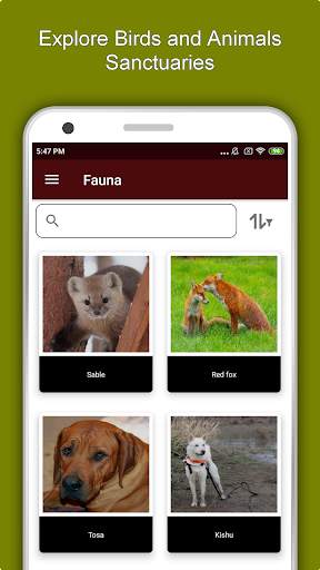 Minato Travel & Explore, Offline Tourist Guide screenshot 5