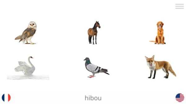 Play and Learn LANGUAGES screenshot 9