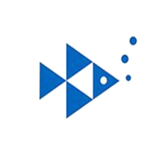 Erchang WIFI FISH 1.3-47067c0