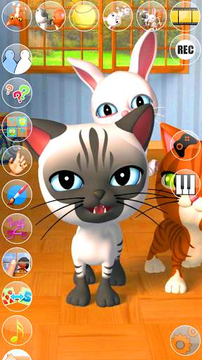 Talking 3 Friends Cats & Bunny screenshot 5