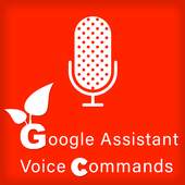 Ok Google Voice Commands for Google Assistant 3.3.3