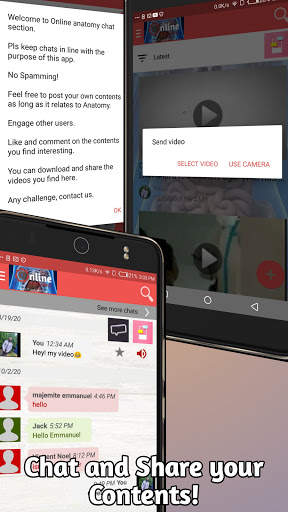 ONLINE Anatomy - Videos, Quizzes and Chats. screenshot 6