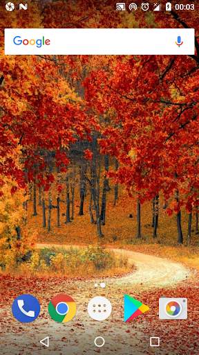 Forest Wallpapers - Tree Wallpaper screenshot 4