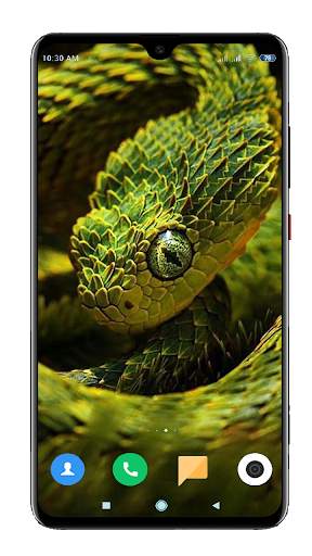 Snake Wallpaper HD screenshot 15