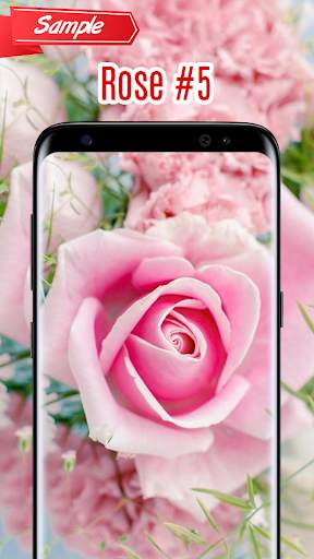 Rose Wallpaper screenshot 6