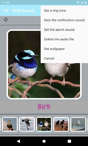 Bird Sound screenshot 8