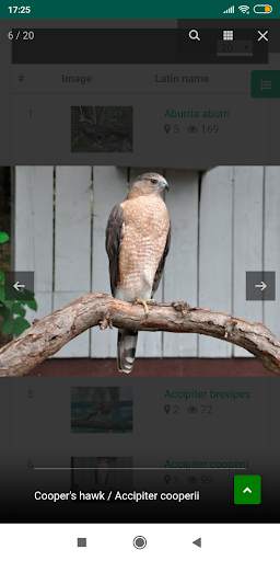 ZOOINSTITUTES 4 تصوير الشاشة