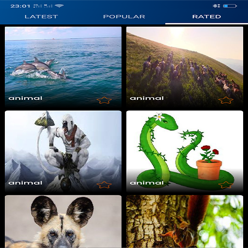 animals Wallpapers icon