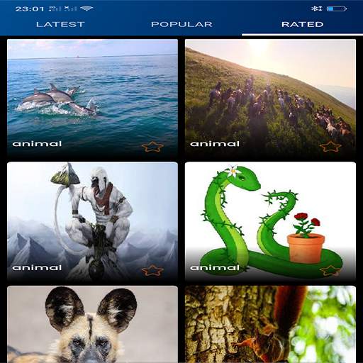 animals Wallpapers 1.0