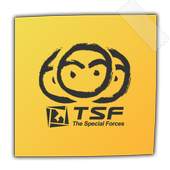TSF Notepad Widget 1.6