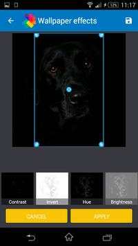 Black Wallpapers screenshot 2