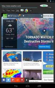 Ultimate Droid Browser screenshot 5