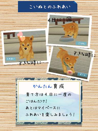 Shibainu Simulation Game 3D screenshot 6