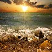 Wallpapers Nature 1.0