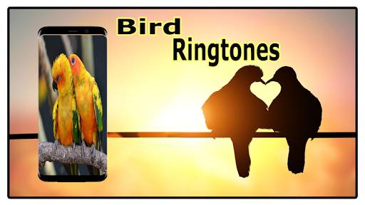 Bird Sounds Ringtones Free screenshot 2