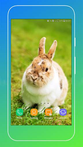 Rabbit Wallpaper screenshot 12