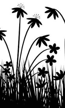 Black And White Wallpapers screenshot 1