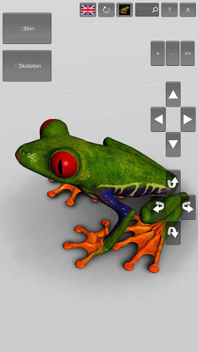 3D Frog Skeleton screenshot 9