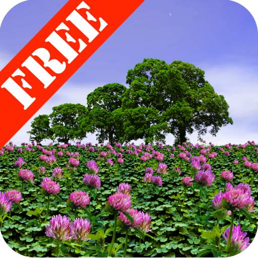 Clover Field Free 1.07