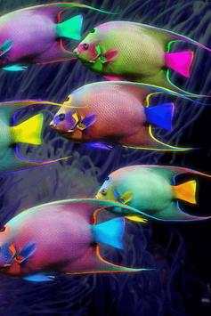 Fish Wallpaper screenshot 16