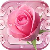 Pink Rose Water Drop Keyboard icon