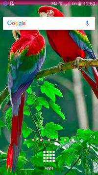 Parrot Wallpapers screenshot 2