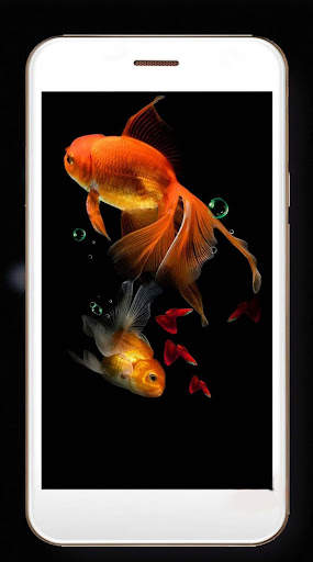 Fish Gold Live Wallpaper screenshot 6