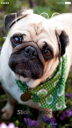 Pug Lock Screen screenshot 3