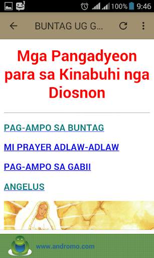 MARY'S MISSION VISAYA screenshot 4
