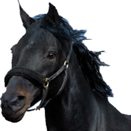 Horse Race icon