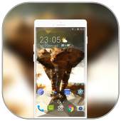 Theme for mi mix3 wallpaper 2.0.1