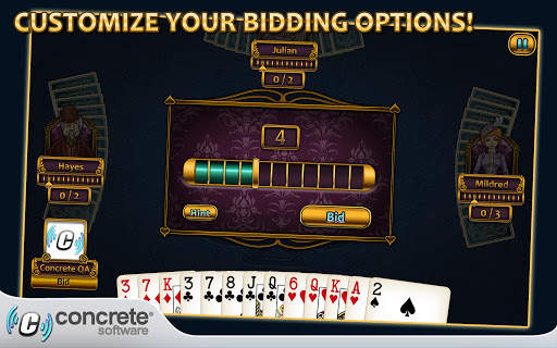 Aces® Spades 14 تصوير الشاشة