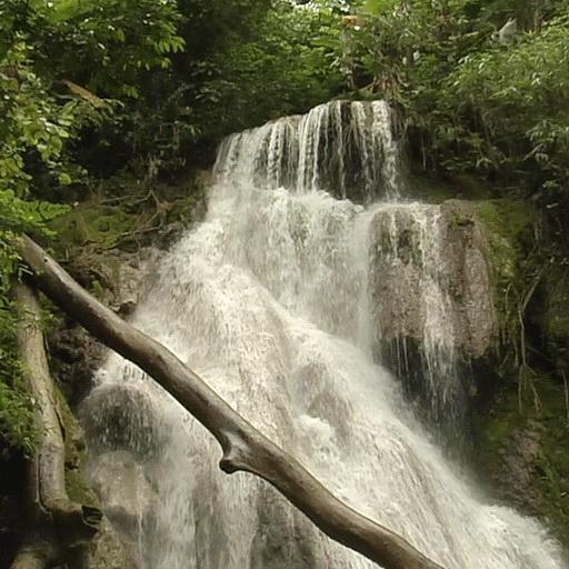 Waterfall in greenery icon