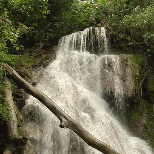 Waterfall in greenery 1.3