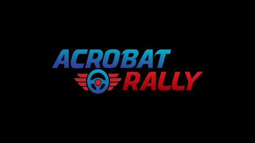 Acrobat Rally screenshot 1