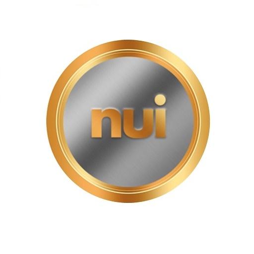 Tools for NUI International Business icon
