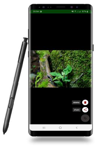 photo compressor 1 تصوير الشاشة