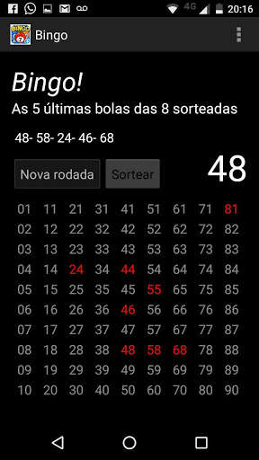 Bingo screenshot 3