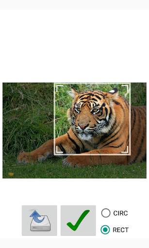 MultiCrop - image crop for multiple images 3 تصوير الشاشة