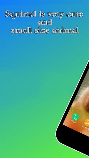 Squirrel Wallpaper screenshot 1