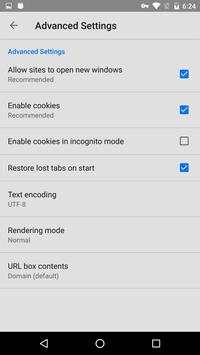 Fast Browser screenshot 7