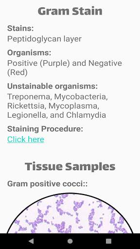 Bacteria Stains Lite screenshot 4