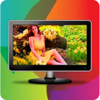 Net Tv Photo Frame - Net Tv