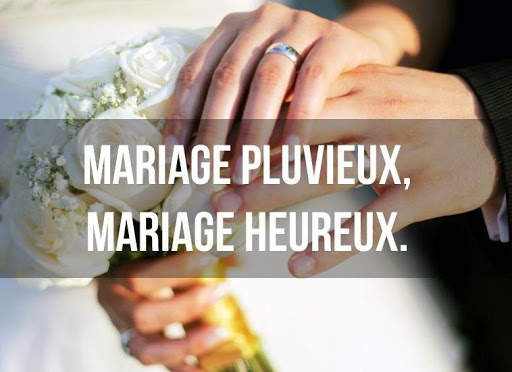 Carte de voeux photo! screenshot 13