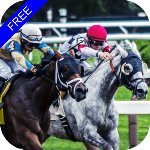 Flat Race Horse Racing 1.43