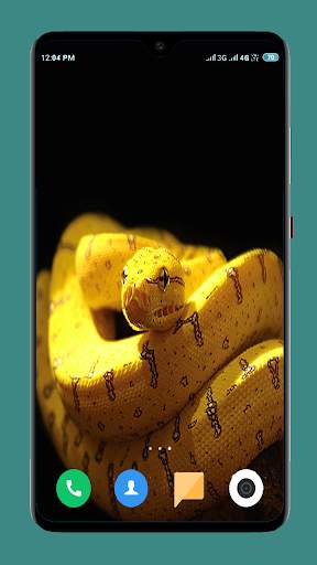 Snake Wallpaper HD screenshot 6