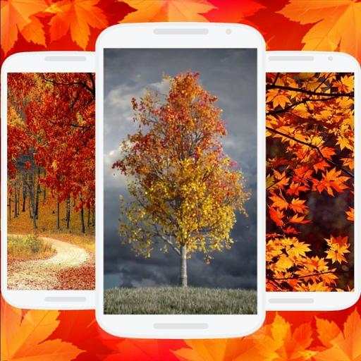 🍁🍁Fall Season 3D Live Wallpaper🍂🍂 1.1