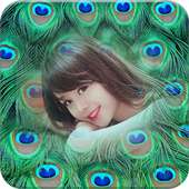 Marcos de fotos de plumas de pavo real on 9Apps