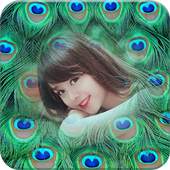 Peacock Feathers Photo Frames 1.0.7